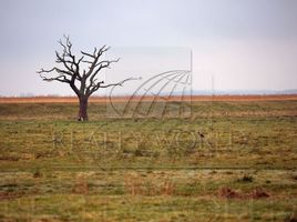  Land for sale in Juarez, Nuevo Leon, Juarez, Nuevo Leon
