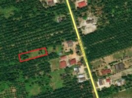  Land for sale in Api-Api, Kuala Selangor, Api-Api