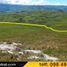  Land for sale in Canar, Honorato Vasquez Tambo Viejo, Canar, Canar