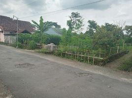  Land for sale in Yogyakarta, Kalasan, Sleman, Yogyakarta