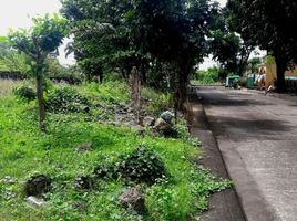  Grundstück zu verkaufen in Lapu-Lapu City, Central Visayas, Lapu-Lapu City