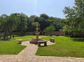3 Habitación Quinta en venta en Montemorelos, Nuevo León, Montemorelos, Nuevo León, México