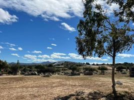  Terrain for sale in Tecate, Baja California, Tecate