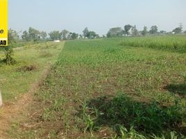  Land for sale in Jombang, East Jawa, Kabuh, Jombang