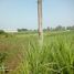  Land for sale in Jombang, East Jawa, Kabuh, Jombang