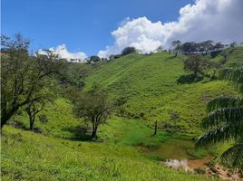  Terrain for sale in Veraguas, Santa Fe, Santa Fe, Veraguas