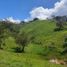  Grundstück zu verkaufen in Santa Fe, Veraguas, Santa Fe, Santa Fe