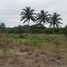  Terreno (Parcela) en venta en Panamá, Guabito, Changuinola, Bocas del Toro, Panamá