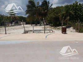  Grundstück zu verkaufen in Othon P Blanco, Quintana Roo, Othon P Blanco