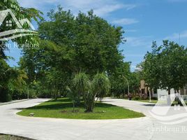  Grundstück zu verkaufen in Cozumel, Quintana Roo, Cozumel