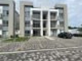 3 Bedroom Condo for rent in Guayas, Samborondon, Samborondon, Guayas