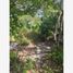  Land for sale in Lazaro Cardenas, Quintana Roo, Lazaro Cardenas