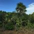  Land for sale in Lazaro Cardenas, Quintana Roo, Lazaro Cardenas