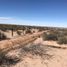  Land for sale in Ahumada, Chihuahua, Ahumada