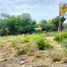  Land for sale in Tilapa, Puebla, Tilapa