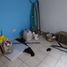 Maison 3 chambre à vendre à Ocoyucan, Puebla, Ocoyucan