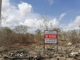  Land for sale in Merida, Yucatan, Merida, Yucatan