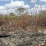  Land for sale in Merida, Yucatan, Merida, Yucatan