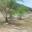  Land for sale in Santiago, Nuevo Leon, Santiago