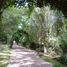  Land for sale in Chapantongo, Hidalgo, Chapantongo