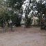  Land for sale in Tlaquepaque, Jalisco, Tlaquepaque