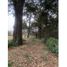  Land for sale in Omitlan De Juarez, Hidalgo, Omitlan De Juarez