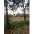  Land for sale in Omitlan De Juarez, Hidalgo, Omitlan De Juarez