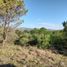  Land for sale in Punilla, Cordoba, Punilla