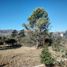  Land for sale in Punilla, Cordoba, Punilla