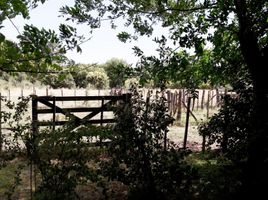  Terreno (Parcela) en venta en Mercedes, Buenos Aires, Mercedes