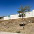  Terreno (Parcela) en venta en Zapopan, Jalisco, Zapopan, Jalisco