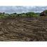  Terreno (Parcela) en venta en Santa Elena, Santa Elena, Santa Elena, Santa Elena, Santa Elena
