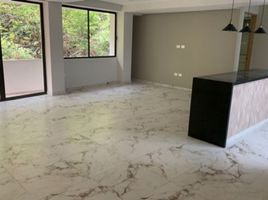 Condominium 2 chambre à louer à Miguel Hidalgo, Mexico City, Miguel Hidalgo