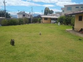  Land for sale in Conocoto, Pichincha, Conocoto, Quito