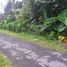  Land for sale in Selemadeg, Tabanan, Selemadeg