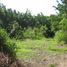  Land for sale in Yautepec, Morelos, Yautepec