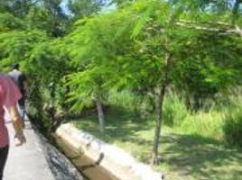  Land for sale in Yautepec, Morelos, Yautepec