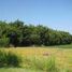  Land for sale in Yautepec, Morelos, Yautepec