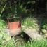  Land for sale in Yautepec, Morelos, Yautepec