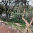  Terreno (Parcela) en venta en Cuajimalpa De Morelos, Ciudad de México, Cuajimalpa De Morelos
