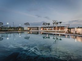  Grundstück zu verkaufen in Merida, Yucatan, Merida