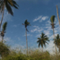  Land for sale in Tecuala, Nayarit, Tecuala