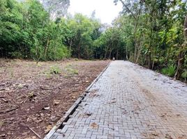  Land for sale in Pengasih, Kulon Progo, Pengasih