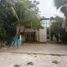 4,198 Sqft Office for rent in Merida, Yucatan, Merida
