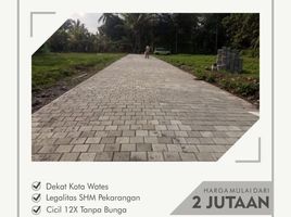  Land for sale in Yogyakarta, Pengasih, Kulon Progo, Yogyakarta