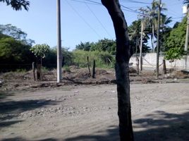 在Manzanillo, Colima出售的 土地, Manzanillo