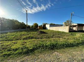  Land for sale in Brandsen, Buenos Aires, Brandsen