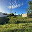  Land for sale in Brandsen, Buenos Aires, Brandsen