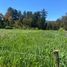  Land for sale in Vichuquen, Curico, Vichuquen