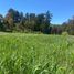  Land for sale in Vichuquen, Maule, Vichuquen, Curico